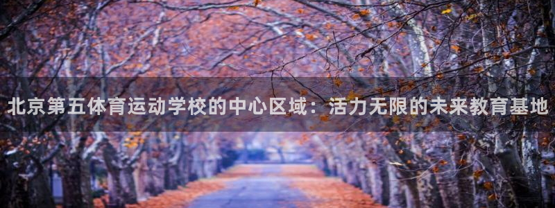 球速体育：北京第五体育运动学校的中心区域：活力无限的未来教育基地