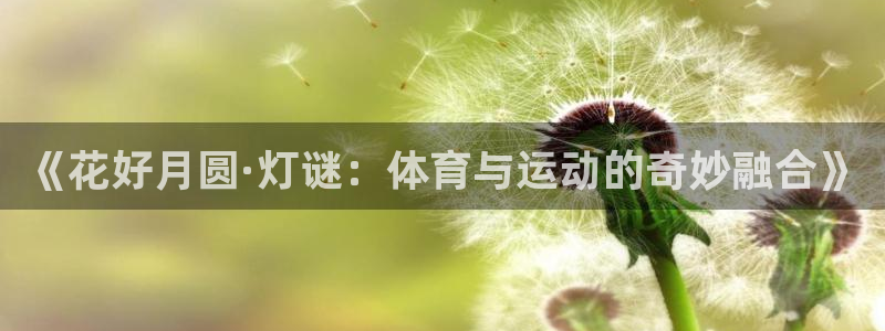 球速体育：《花好月圆·灯谜：体育与运动的奇妙融合》
