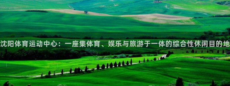 球速体育：沈阳体育运动中心：一座集体育、娱乐与旅游于一体的综合性休闲目的地