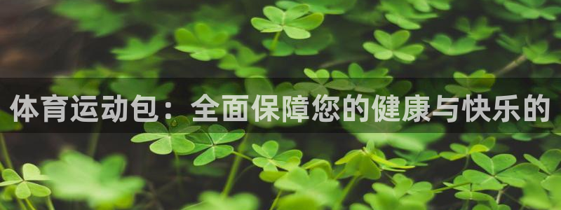 球速体育：体育运动包：全面保障您的健康与快乐的