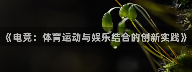 球速体育：《电竞：体育运动与娱乐结合的创新实践》