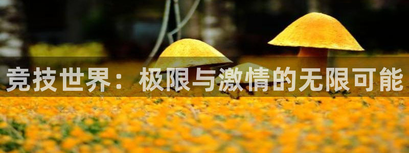 球速体育：竞技世界：极限与激情的无限可能