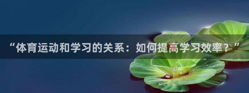 球速体育：“体育运动和学习的关系：如何提高学习效率？”