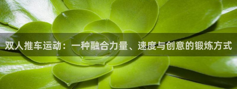 球速体育：双人推车运动：一种融合力量、速度与创意的锻炼方式