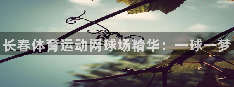 球速体育：长春体育运动网球场精华：一球一梦