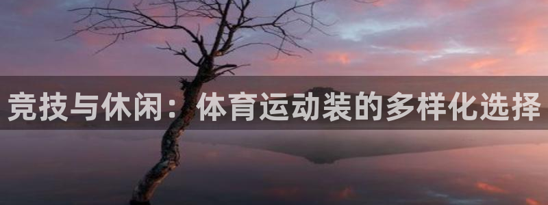球速体育：竞技与休闲：体育运动装的多样化选择